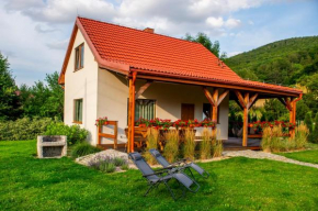 Domek Chmielnik, Pieszyce
